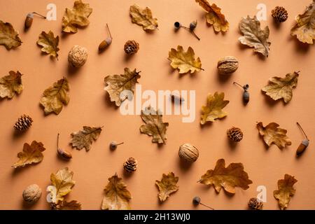 Autumn composition. Dry oak leaves, walnuts, acorns, pine cone on pastel orange background. Stock Photo