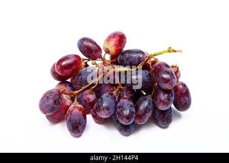 Bunch of juicy ripe black grapes isolated on a white background Stock Photo