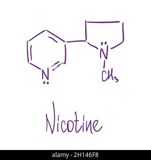 Nicotine chemical structure. Vector illustration Hand drawn. Stock Vector