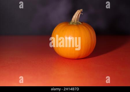 A single pumpkin on an orange surface with a foggy background Stock Photo