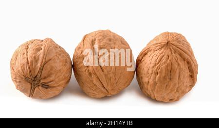 Isolated walnuts on a white background. Three nuts Stock Photo