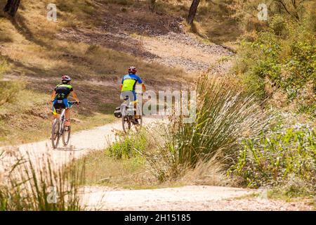 Two cyclist's cycling the Camino de Santiago the way of St James the Spanish pilgrimage route on the track from Estella to Los Arcos Navarra Spain Stock Photo