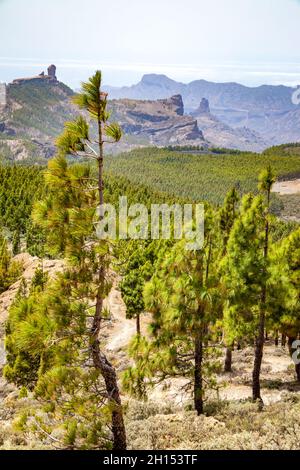 Viev from Pico de las Nieves, Gran Canaria, Spain. Landscape Stock Photo