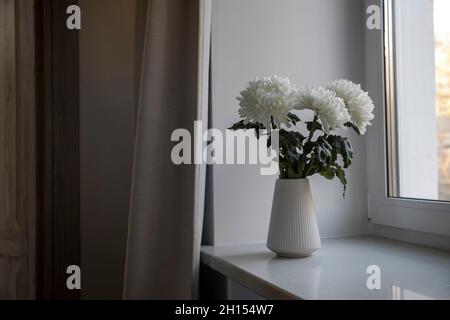 Three white chrysanthemums in a seventies-style fluted vase on the windowsill. The grey curtain Stock Photo