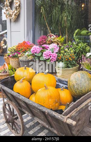 Pumpkin cart in front of the flower shop. Halloween and Thanksgiving autumn decoration with flowers in trendy rattan baskets Stock Photo