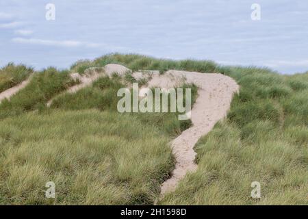 Foot prints seen in the sandy trails going over some of the sand dunes next to Formby beach near Liverpool. Stock Photo
