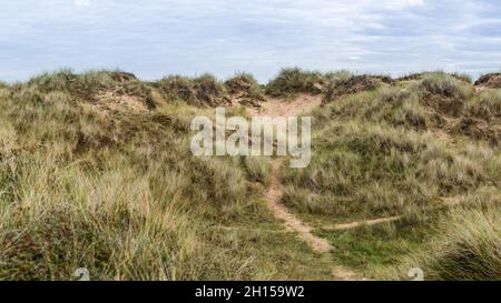 Footprints through sand dunes, near Corralejo, Fuerteventura, Canary ...