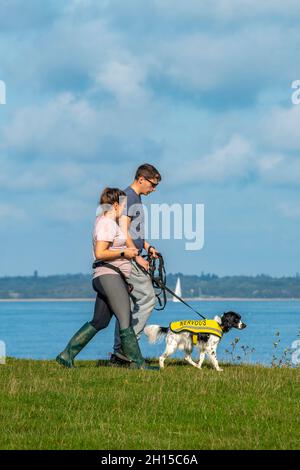 young couple walking a springer spaniel dog at the seaside. springer spaniel being walked by a man and a woman on the coast at the seashore. Stock Photo