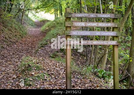 Entrance sign to Coppett Hill Common near Goodrich in the Forest of Dean, England, UK. Autumn leaves on the path. 2021 Stock Photo