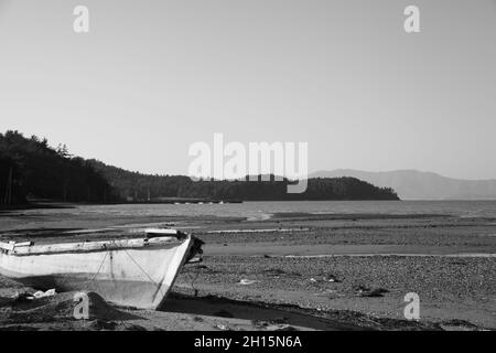 Grayscale shot of an old boat on a beach surrounded by trees and hills in the daylight Stock Photo