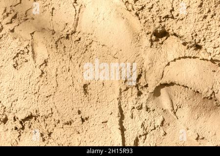 Photo texture of brown colored concrete wall stucco. Stock Photo