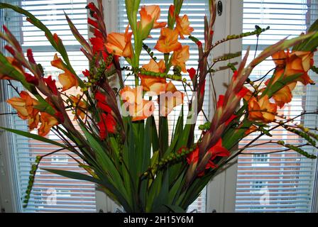 Arrangement with red and yellow gladiola with branches in front of window with blinds. Stock Photo