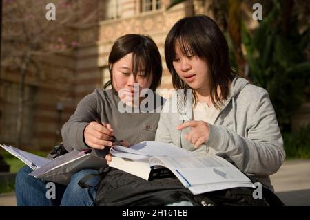 Chinese students do homework on campus MR - Model Released Stock Photo