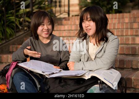 Chinese students do homework on campus MR - Model Released Stock Photo