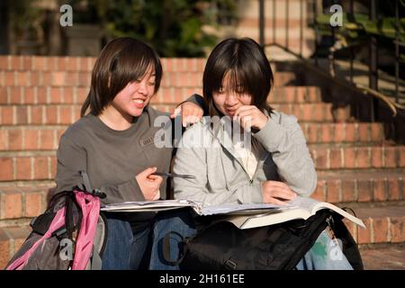 Chinese students do homework on campus MR - Model Released Stock Photo