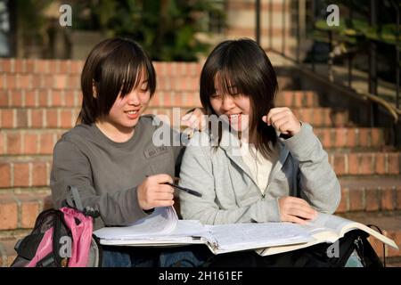 Chinese students do homework on campus MR - Model Released Stock Photo