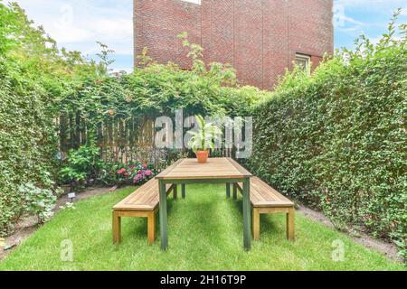 Wooden table and benches placed on grassy lawn near lush green plants and potted flowers in backyard with fence on summer day Stock Photo