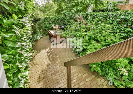 From above of spacious empty backyard with wooden table and chairs planted with green bushes and trees with brick wall on background in bright sunligh Stock Photo