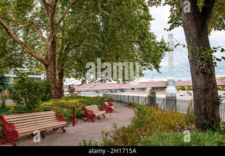 View of The Albert Bridge from Battersea Park, on the south bank of the River Thames, in London, England. Stock Photo