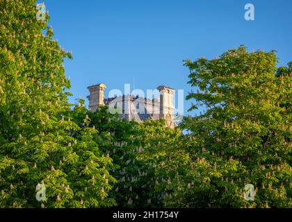 Roof of the Louvre Museum seen from the Tuileries garden in Paris, with blooming chestnut trees in the foreground, taken in a sunny spring morning Stock Photo