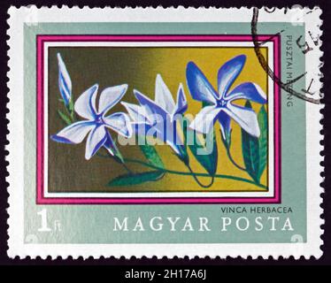 HUNGARY - CIRCA 1971: a stamp printed in Hungary shows periwinkle, vinca herbacea, is a flowering plant, circa 1971 Stock Photo