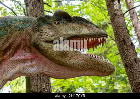 SZKLARSKA POREBA, POLAND - May 10, 2018: The head of a model Allosaurus with open mouth showing sharp teeth at the Dino Park Stock Photo