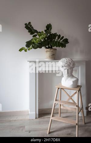 The plaster head of David on a high stool against the background of a fake fireplace panel and Zamioculcas plant in the clay pot decorate the interior Stock Photo