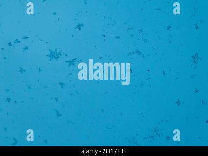 snowflakes on a blue background. closeup snow texture, natural Christmas bacground Stock Photo