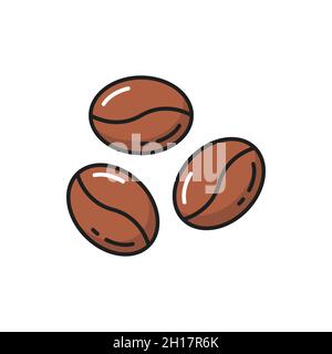Coffee bean isolated americano drink ingredient flat line icon. Vector coffee berry three brown seeds, aromatic americano arabica roasted beans. Raw f Stock Vector
