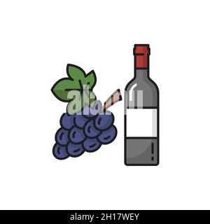 Elite Swiss wine in glass bottle winery drink and bunch of purple grapes isolated flat line icon. Vector winery product, merlot sweet semi sweet alcoh Stock Vector