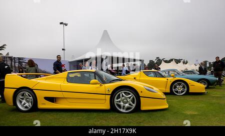 f50 gialle