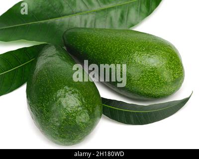 Avocado with avocado leaves isolated on white background. Stock Photo
