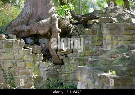 Monastery ruins of Disibodenberg, near Bad Kreuznach, Rhineland-Palatinate, Germany, Europe, Hildegard von Bingen lived here from 1112 to 1147 Stock Photo