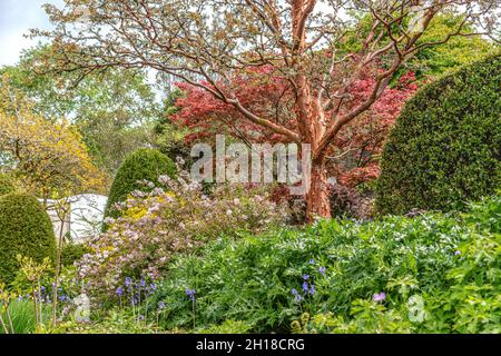 Upper Terrace at the Fortescue Walled Garden, The Garden House, Yelverton, Devon, England Stock Photo