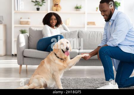 Smiling black man teaching dog to give paw Stock Photo