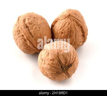 Three walnuts isolated on white background Stock Photo