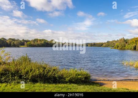 Virginia Water Lake in early autumn, Windsor Great Park, Surrey, south-east England Stock Photo