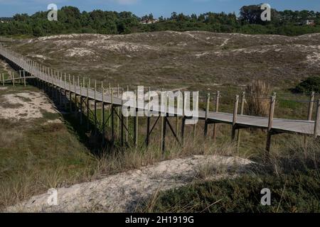 Wooden paths through coastal sand dunes, Portugal. Stock Photo