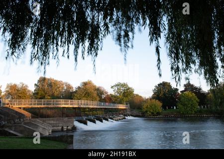 View under the trees on the river bank at Benson lock. Stock Photo