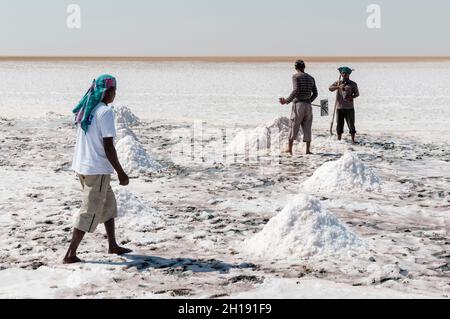 Men harvesting salt in the salt flats near Shannah.  Shannah, Oman. Stock Photo