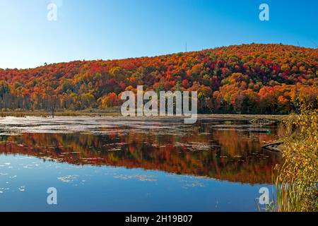 Beautiful fall colours reflecting on calm water Stock Photo