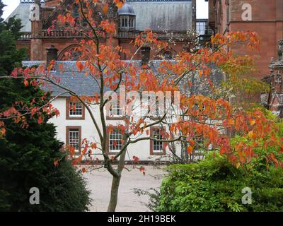 Autumn colours in the trees at Mount Stuart House: the ancestral home of the Marquess of Bute and now a heritage property open to visitors. Stock Photo