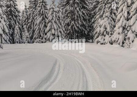 The traces of deep wheels in freshly fallen snow Stock Photo