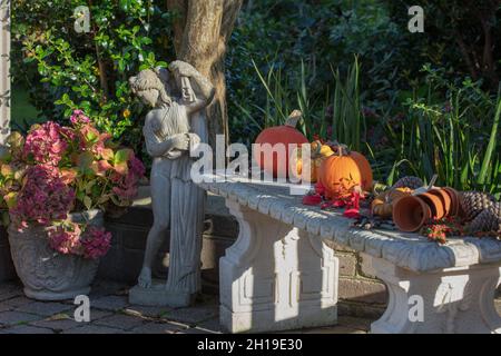 Autumn display of pumpkins on a garden bench. Stock Photo