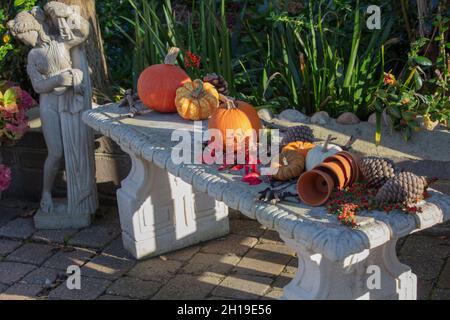 Autumn display of pumpkins on a garden bench. Stock Photo