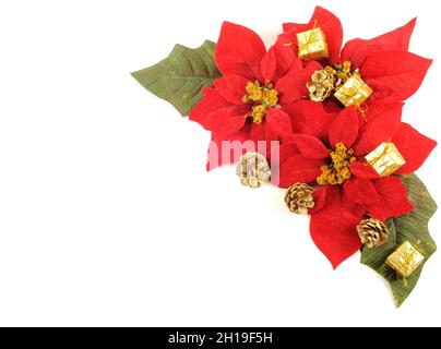 Christmas flower poinsettia with leafs and decor on a white background Stock Photo