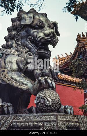 A bronze guardian lion statue in the Lama Temple complex, a Buddhist temple in Beijing, China. Stock Photo