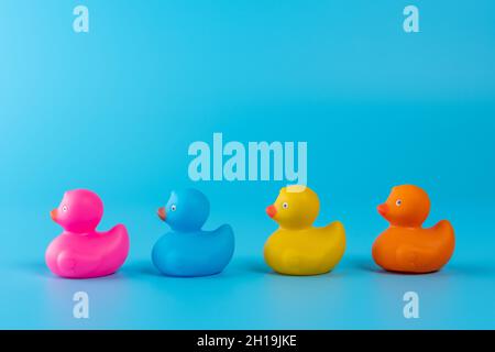 Colorful rubber ducks on blue background. Summer minimal concept. Stock Photo