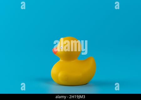 Yellow rubber duck on blue background. Summer minimal concept. Stock Photo