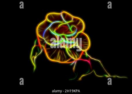 neon fractal yellow rose on a black background. Stock Photo